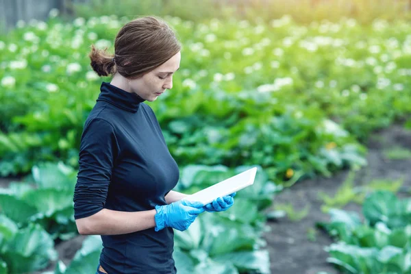 Szakember Agronómus Tabletta Kezében Tartja Koncepció Mezőgazdasági Gazdaságok Minőség Ellenőrzés — Stock Fotó