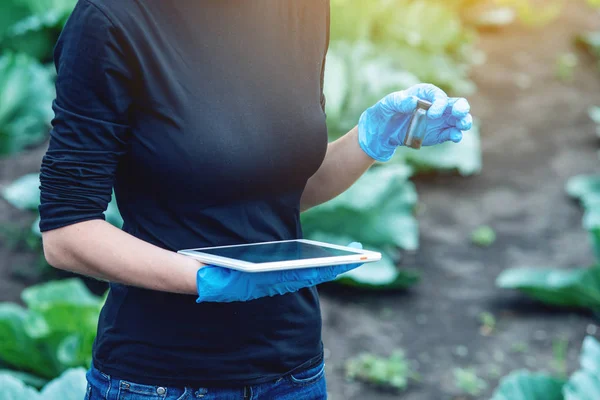 Mladý Agronom Hezká Žena Držící Vzorek Půdy Tablet Koncept Ekologické — Stock fotografie