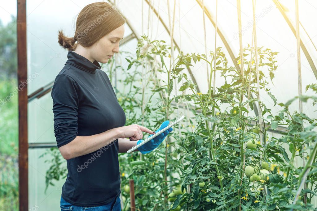 Woman specialist agronomist holding a tablet. Concept of environmentally friendly production on farms