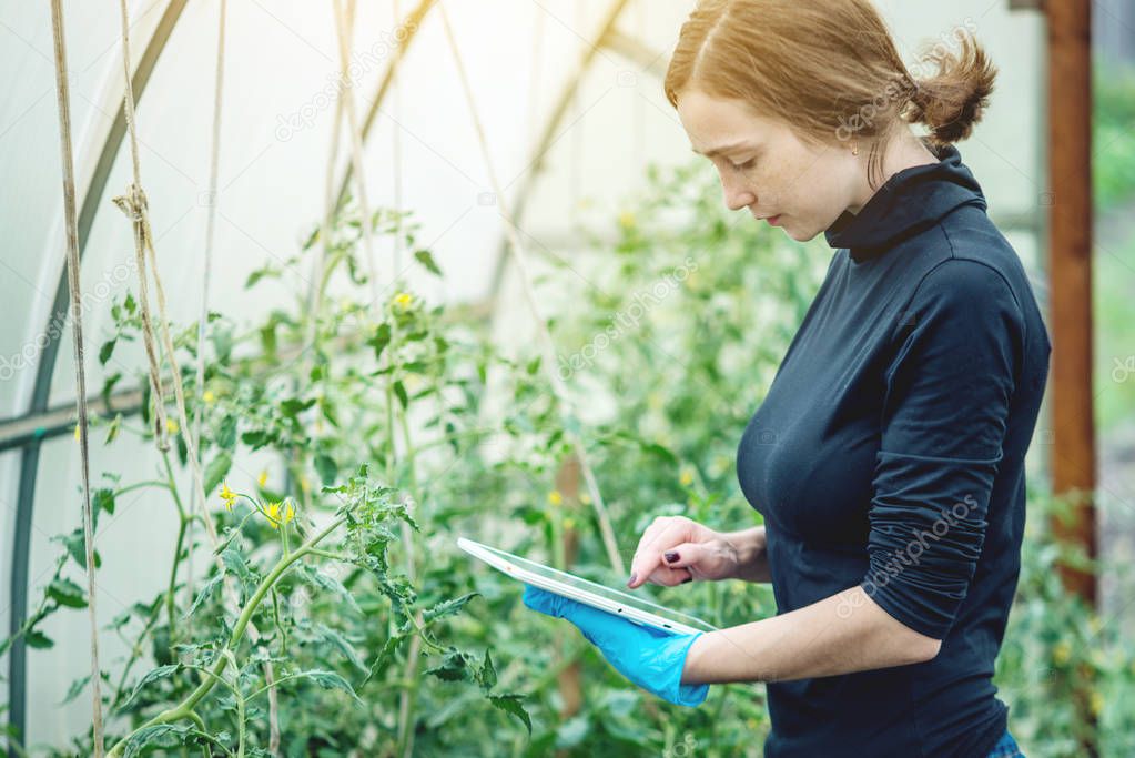 Woman specialist agronomist holding a tablet. Concept of environmentally friendly production on farms