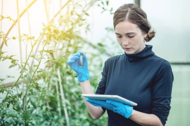 Kadın uzman ziraat mühendisi toprak ve bir tablet örneği tutuyor. Kavram çevre dostu çiftlik üretim nitrat olmadan.