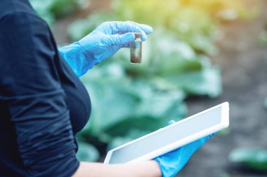 Toprak örneği ve bir tablet tutan genç ziraat mühendisi güzel kadın. Kavram çevre dostu çiftlik üretim nitrat olmadan.