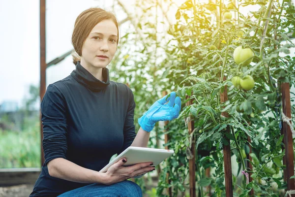 Kvinna Specialist Agronom Håller Tablett Begreppet Miljövänlig Produktion Gårdar — Stockfoto