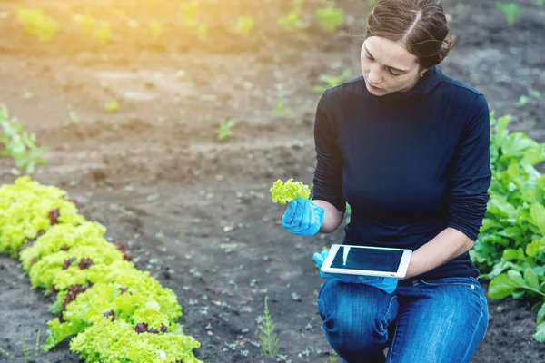 Woman Specialist Agronomist Holding Sample Soil Tablet Concept Environmentally Friendly — Stock Photo, Image