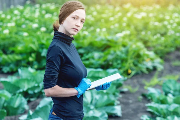Kadın Uzman Ziraat Mühendisi Bir Tablet Elinde Tutan Tarım Çiftlikleri — Stok fotoğraf