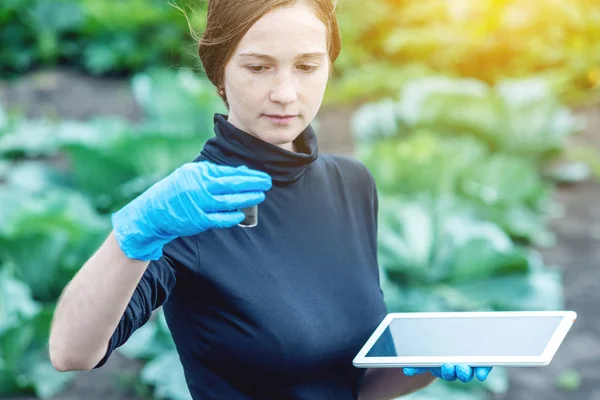 Uma Jovem Agrônomo Mulher Bonita Segurando Uma Amostra Solo Tablet — Fotografia de Stock