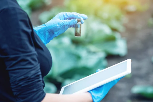 Toprak Örneği Bir Tablet Tutan Genç Ziraat Mühendisi Güzel Kadın — Stok fotoğraf