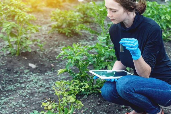 Agronom Mladá Žena Držící Vzorek Půdy Tablet Koncept Ekologické Zemědělské — Stock fotografie