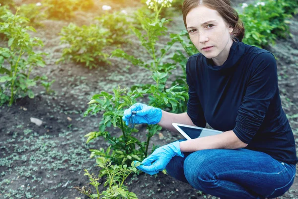 Toprak Örneği Bir Tablet Tutan Genç Ziraat Mühendisi Kadın Kavram — Stok fotoğraf