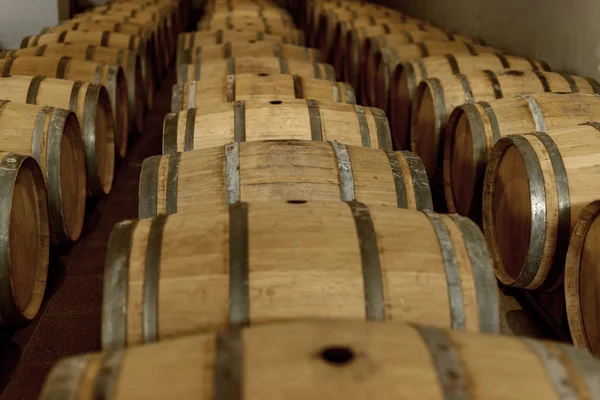 Wine oak barrels in which red wine is aged in the cellar of the winery. The concept of the production of wine