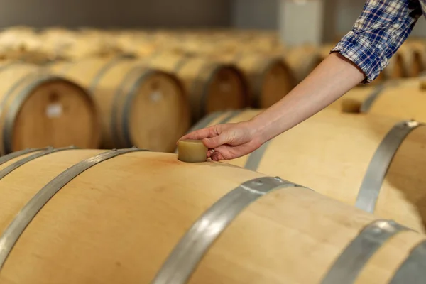 Woman Winemaker Checks Oak Wine Barrels Which Red Wine Aged — Stock Photo, Image