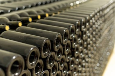 Şarap mahzeni tozlu şarap şişeleri