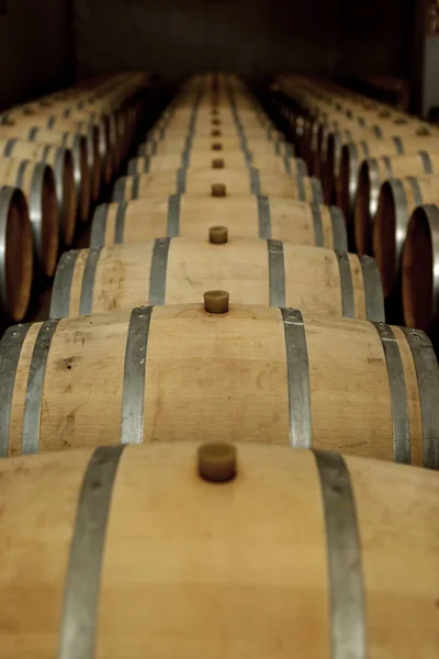 Wine oak barrels in which red wine is aged in the cellar of the winery. The concept of the production of wine