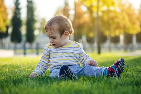 Şirin bebek yeşil çim üzerinde bir Sunny doğada sonbahar günü oturur. Bir yaşındaki çocuk kavramı