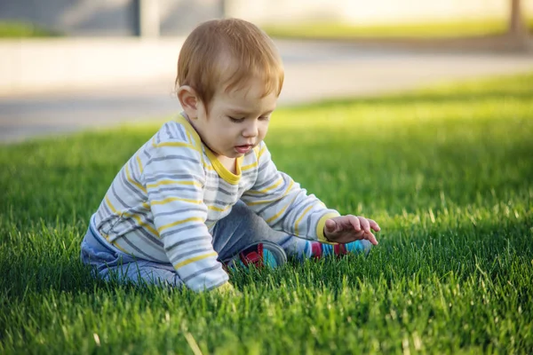 Lindo Bebé Sienta Césped Verde Naturaleza Día Soleado Otoño Concepto — Foto de Stock