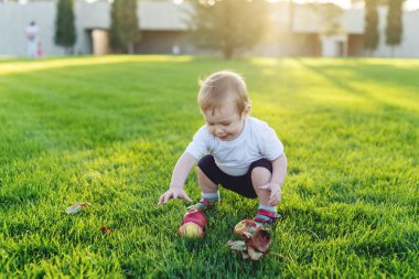 Şirin bebek parktaki yeşil çim üzerinde elma ile oynarken. Bir yaşındaki çocuk kavramı