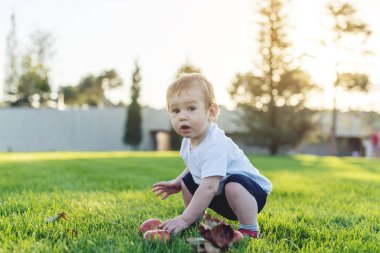 Şirin bebek parktaki yeşil çim üzerinde elma ile oynarken. Bir yaşındaki çocuk kavramı