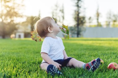Şirin bebek parktaki yeşil çim üzerinde elma ile oynarken. Bir yaşındaki çocuk kavramı