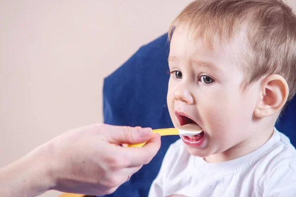 Little Cute Baby Boy Eating Chair Kitchen Mom Feeds Holding Stock Photo