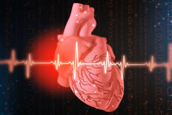 Απεικόνιση Της Ανθρώπινης Καρδιάς Και Καρδιογράφημα Μοντελοποίηση Αφηρημένη Φουτουριστικό Φόντο — Φωτογραφία Αρχείου