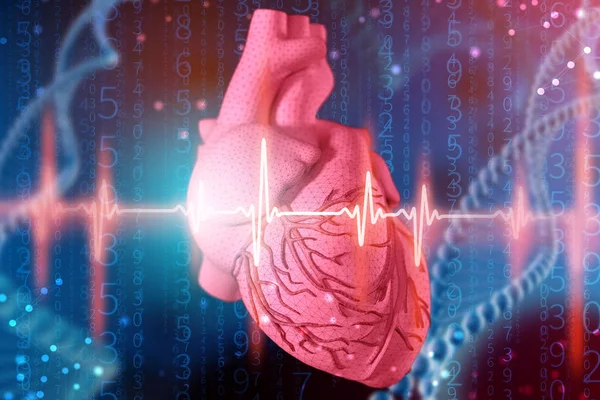 Απεικόνιση Της Ανθρώπινης Καρδιάς Και Καρδιογράφημα Μοντελοποίηση Αφηρημένη Φουτουριστικό Φόντο — Φωτογραφία Αρχείου