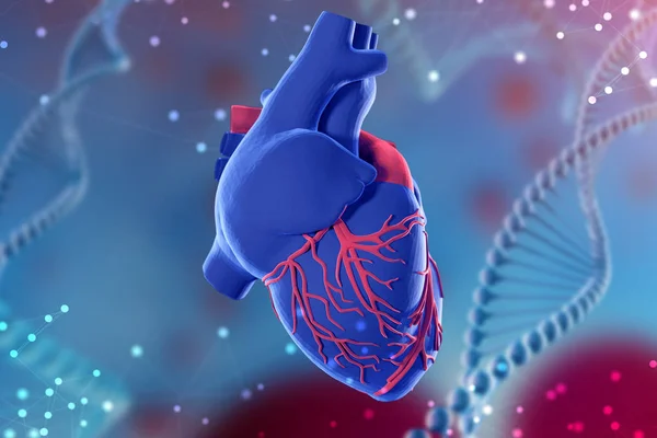 Απεικόνιση Της Ανθρώπινης Καρδιάς Αφηρημένη Φουτουριστικό Φόντο Μπλε Έννοια Των — Φωτογραφία Αρχείου