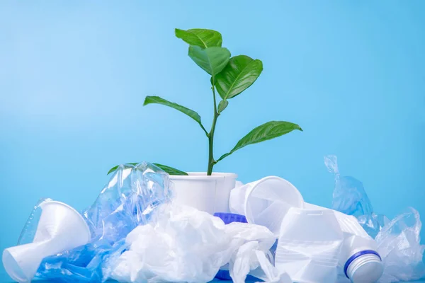 The green plant grows among plastic garbage. Bottles and bags on blue background. Concept of environmental protection and waste sorting