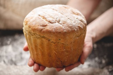 Eski ahşap arka plan üzerinde Altın kabuk ile ev yapımı doğal taze ekmek tutan eller. Fırın ürünleri