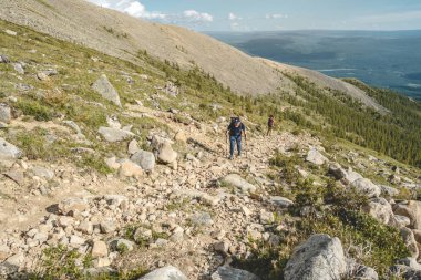 Yazın doruk noktasında sırt çantasıyla gezen adam. Gezinti gezilerini ve doğa ile aktif yaşamı hesaba katın
