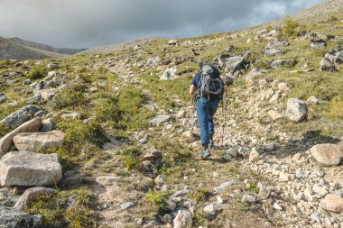 Yazın doruk noktasında sırt çantasıyla gezen adam. Gezinti gezilerini ve doğa ile aktif yaşamı hesaba katın