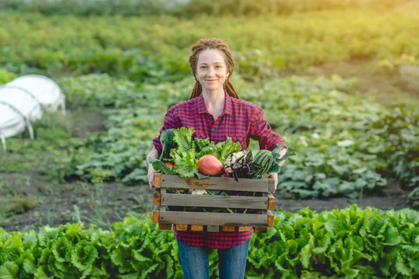 Genç çiftçi kadın tarımcı bahçede bir kutu taze sebze tutuyor. Bir ev çiftliğinde yetişen organik ham ürünler — Stok fotoğraf