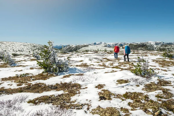 Senderistas con mochilas durante el ascenso del pico en el fondo del paisaje de montañas nevadas. Vida activa con la naturaleza — Foto de Stock