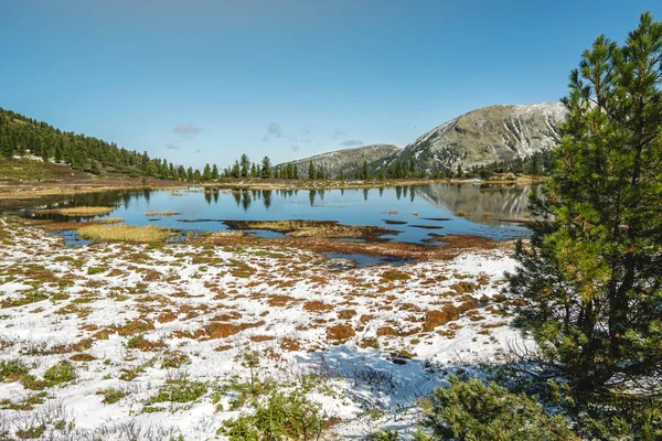 Belle vue sur la rivière de montagne parmi la forêt et les rochers sur les sommets de fond — Photo