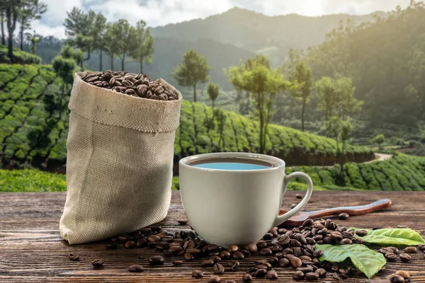 A Cup of fresh coffee and roasted beans in a bag on the table against the backdrop of a landscape of coffee plantations at sunrise