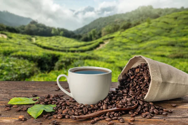 Bir fincan taze kahve ve kavrulmuş fasulye masanın üstünde, bir dağ kahve tarlalarının zeminine karşı.