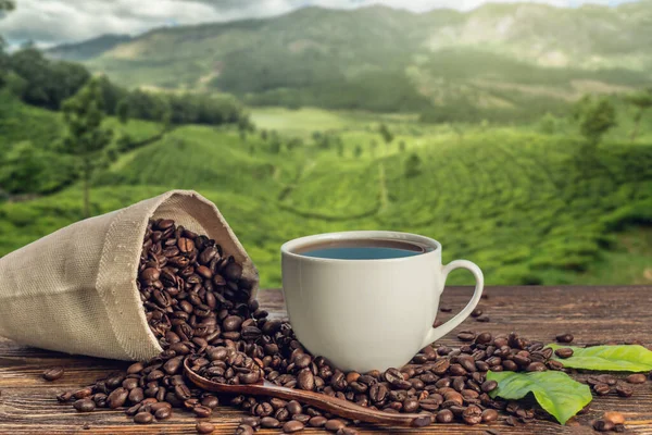 A Cup of fresh coffee and roasted beans in a bag on the table against the backdrop of a landscape of mountain coffee plantations