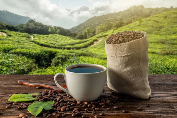 Secangkir Kopi Segar Dan Kacang Panggang Dalam Tas Atas Meja Stok Lukisan  