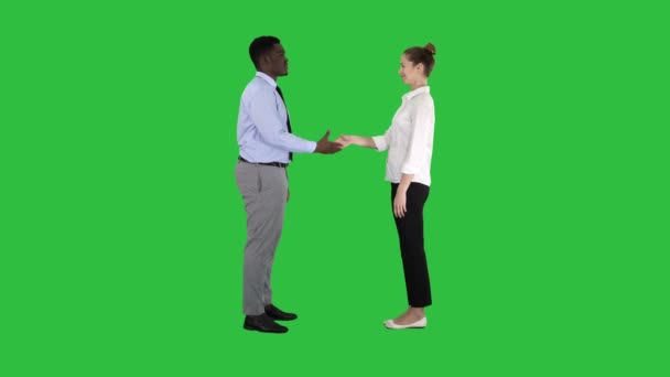 Professionelle Geschäftsleute Händeschütteln auf einem grünen Bildschirm, Chroma-Taste. — Stockvideo