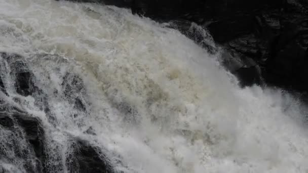 Heavy White Water Rapids. El agua cae. Río de montaña . — Vídeos de Stock