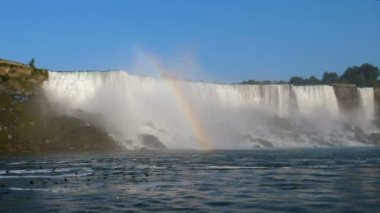 Sürüsü uçan ördek suya yakın. Niagara Falls. Kanada.