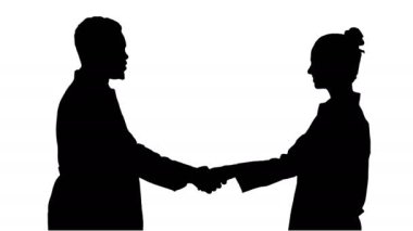 Siluet doktorları el sıkışıyor ve kameraya poz veriyor..