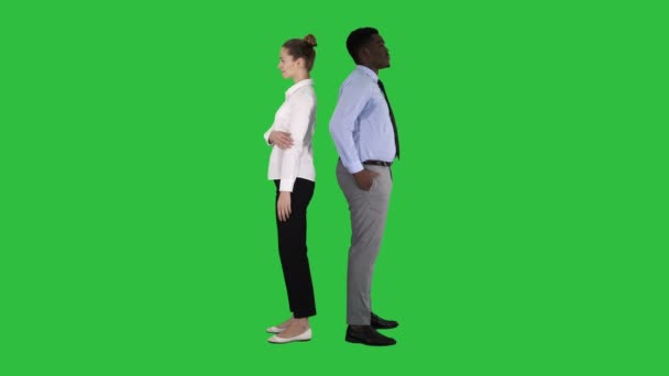 Schöner und gutaussehender Kerl, der Rücken an Rücken auf einem grünen Bildschirm posiert, Chroma-Taste. — Stockvideo