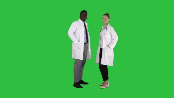 Two caucasian and afro american smiling doctors standing looking in to camera on a Green Screen, Chroma Key. — Stock Video