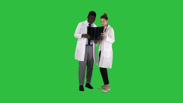 Vážně pěkná žena lékaře a afro americký lékař studie mozku x ray na zelené obrazovce, Chroma Key. — Stock video