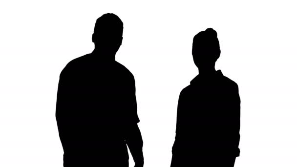 Silhouette Successful businesspeople, business team posing. — Stock Video