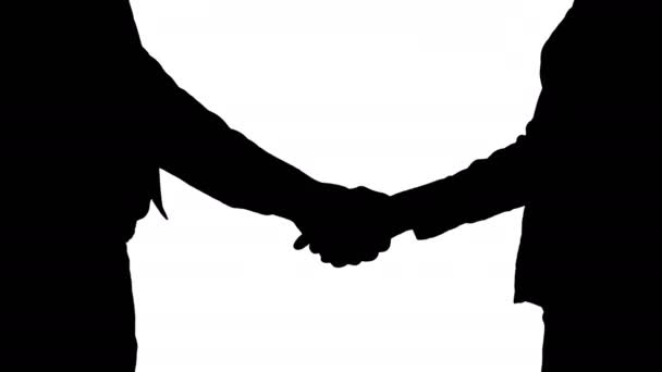 Silhouette Hands of businessman and businesswoman handshaking. — Stock Video