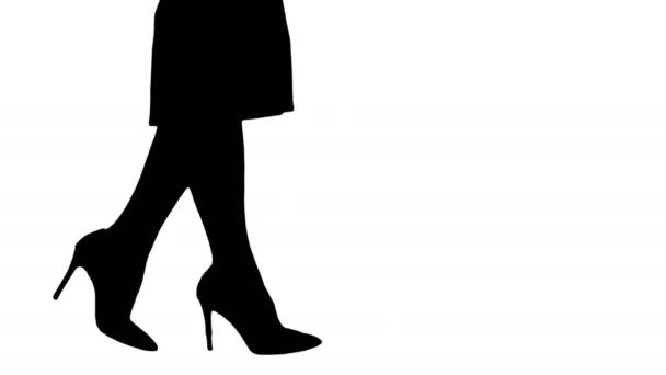 De benen van de Sexy vrouw van het silhouet in rode hakken lopen. Business lady. — Stockvideo