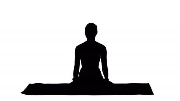 Full Length Shot Silhouette Beautiful Woman Sitting Yoga Mat Talking — Stock Video