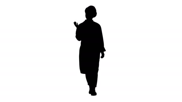 Silhouette Jeune ingénieure ou architecte faisant des gestes et des discours . — Video