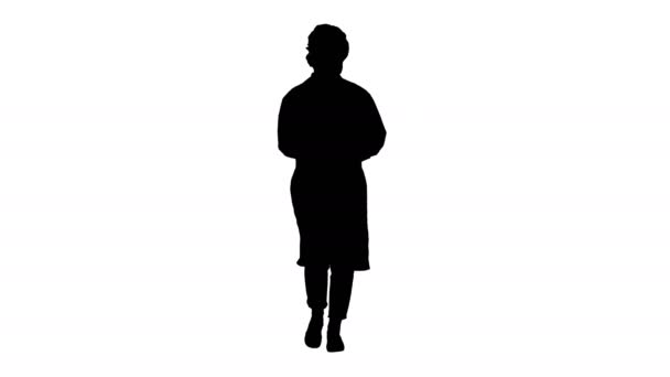 Silhouette Femme médecin marchant tenant le comprimé . — Video